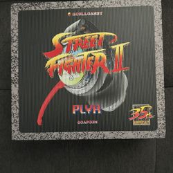 Skull Candy Headphones (street Fighter ) 