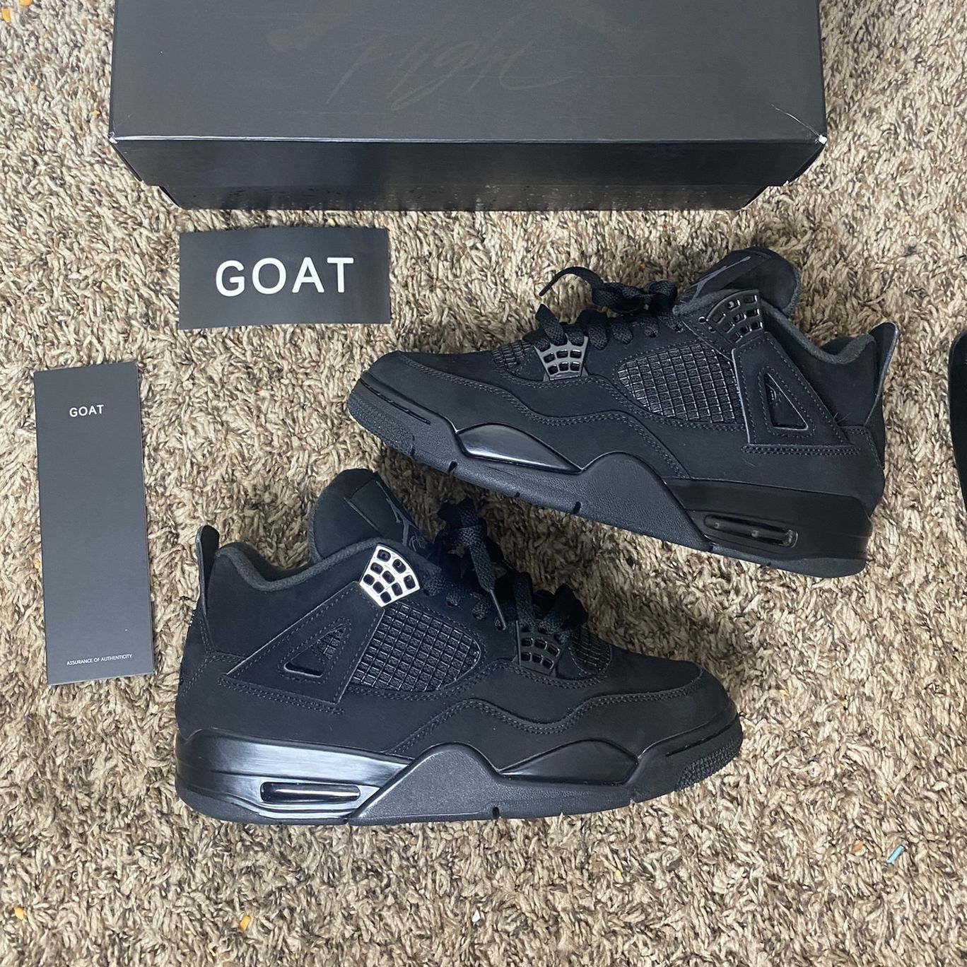 Air Jordan 4 Retro Black Cat 2020