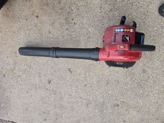 Toro blover