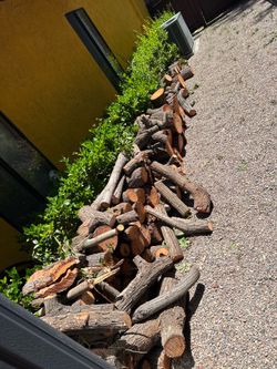 Free Wood