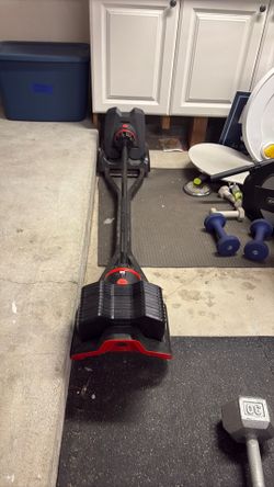 Bowflex barbell weight set/stand.