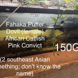 $650 For All! (Or Best Offer)  Moving. Must Be Picked Up Today! 