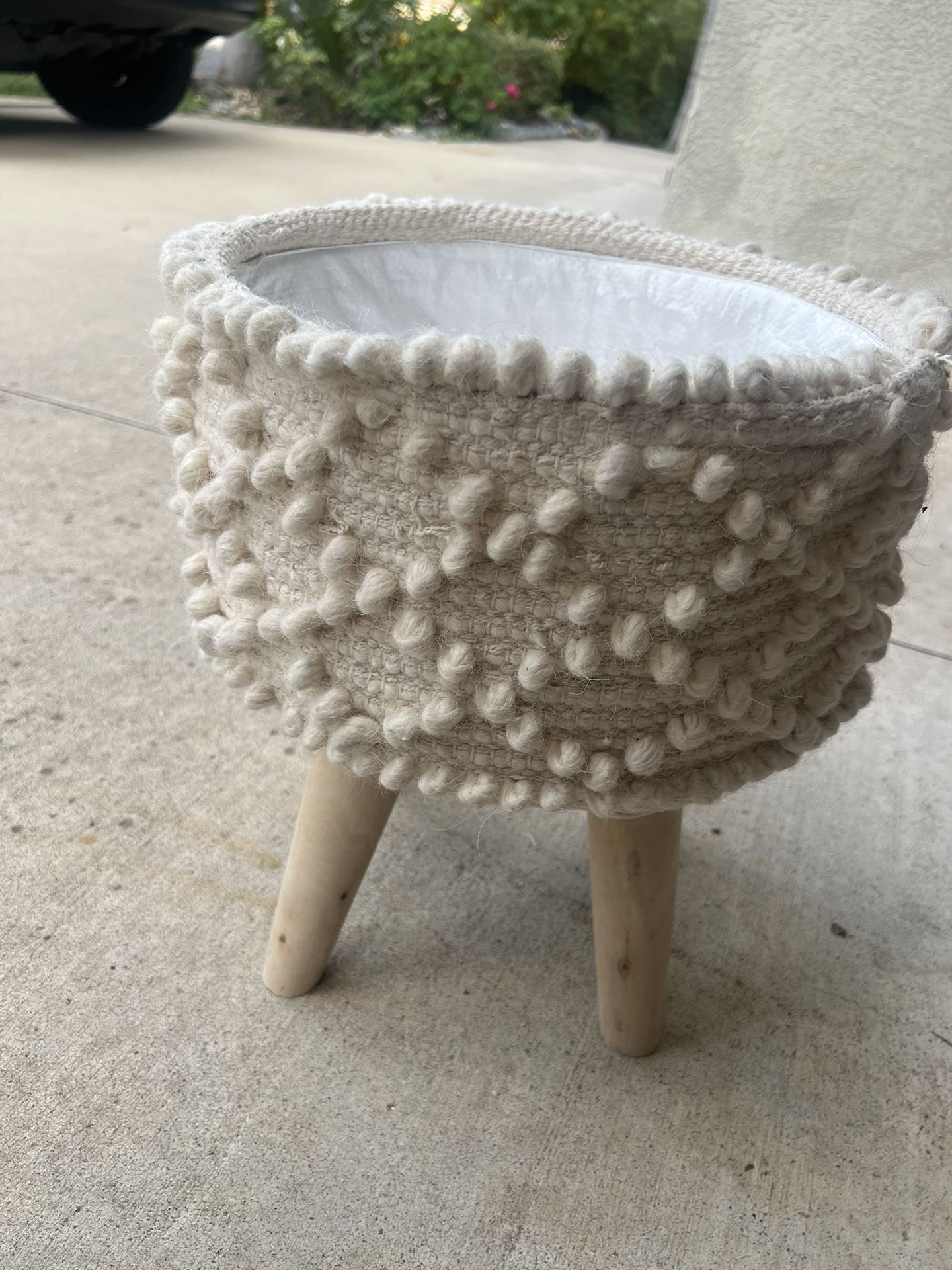 Plant Holder Must Pick Up Today