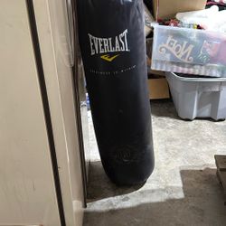 100 Lb Everlast Punching Bag
