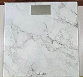 Taylor Digital Glass Scale Model (contact info removed)