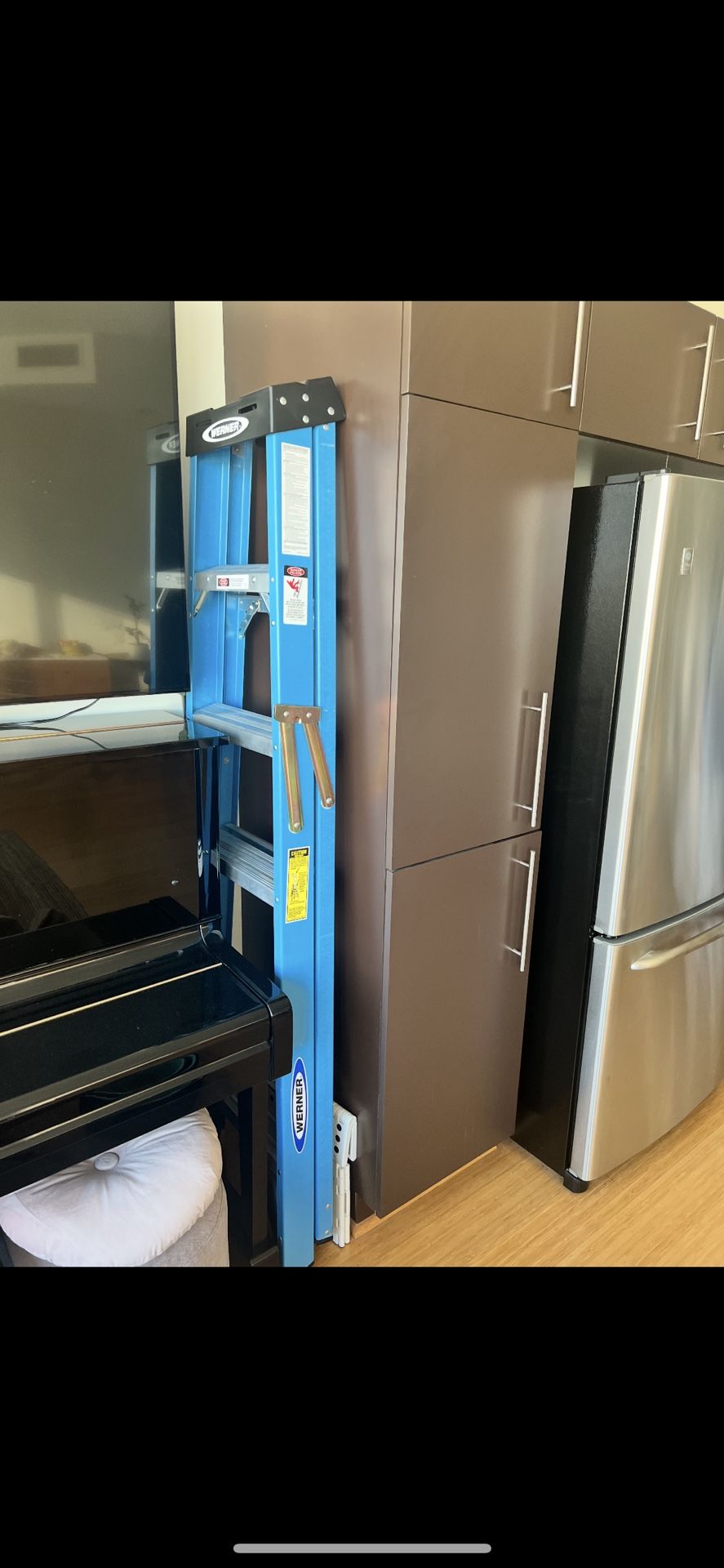 Werner Ladder Barely Used