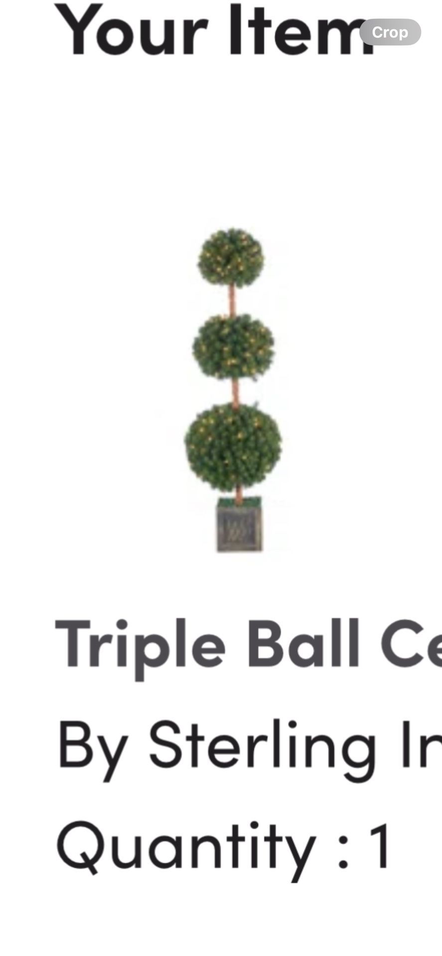Triple Ball Cedar Topiary In Pot