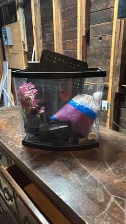Fish tank