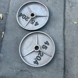 45lb Weights