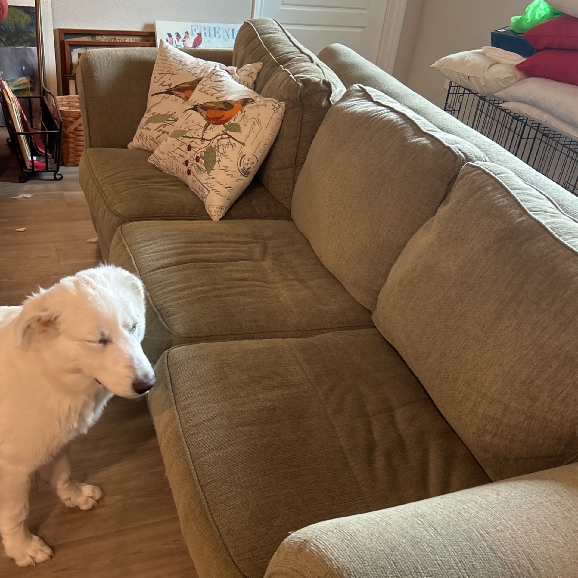Sofa