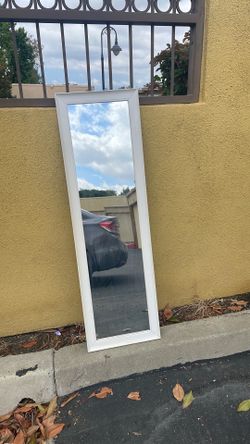 Mirror for door/wall