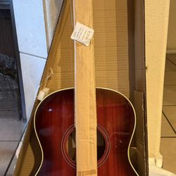 Ibanez PN12E Acoustic Electric Guitar New