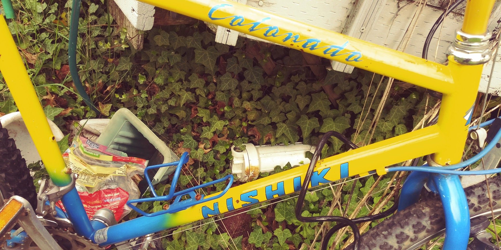 Boys colanada Nishiki 12 speed bike