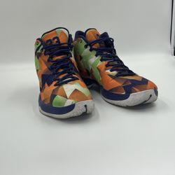 Jordan 29 Hares - Size 13