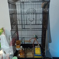 Bird Cage