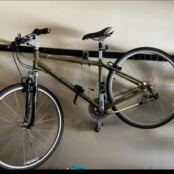 Hybrid Bike