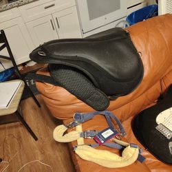 Thin Line Comfort Bareback Pad