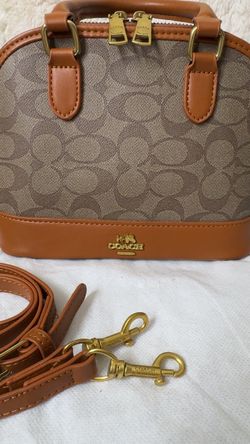 Beautiful woman purse