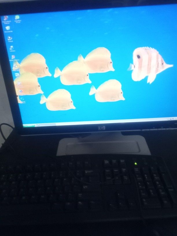 HP Computer +Moniter