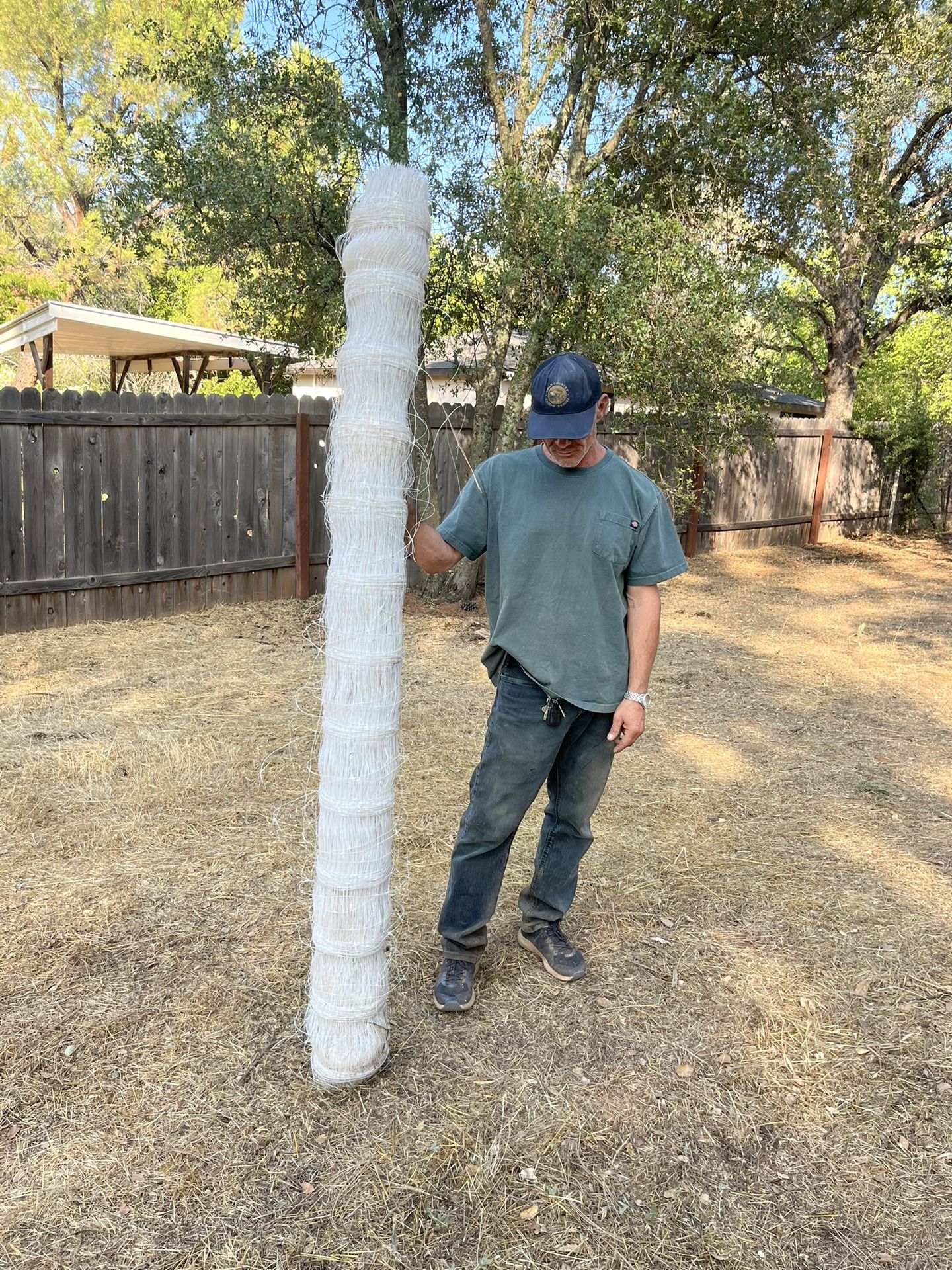 8ft Trellis