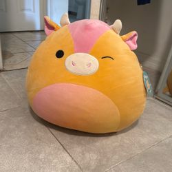 Squishmallow 
