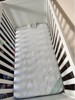 Crib