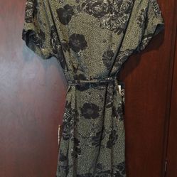 Daniel Rainn Dress