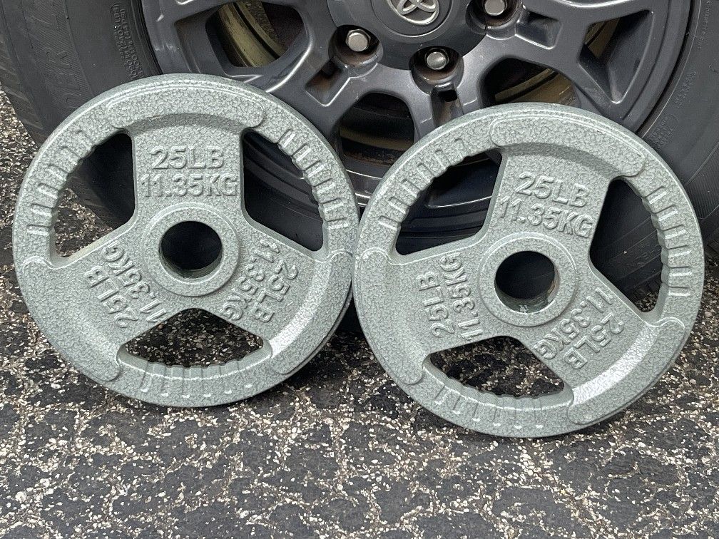 PAIR  OF  25  LB.  OLYMPIC  EASY  GRIP  PLATES   