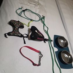 Dog food dish and coller