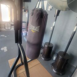 Everlasting Punching Bag