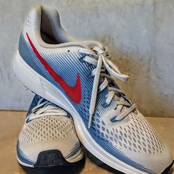 Nike Air Zoom Pegasus 34 (Men's size 13 (US)
