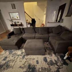 Macys Radley Modualr Coach Grey