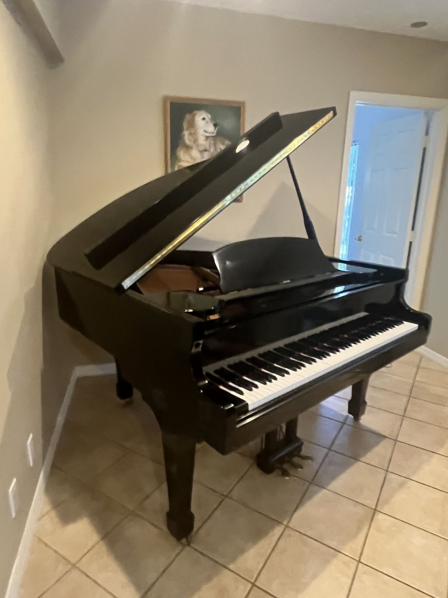 Baby Grand, Piano