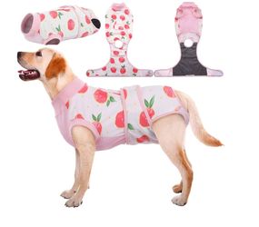 Recovery Suit For Dogs