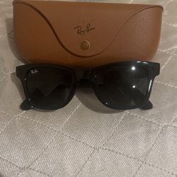 Meta Rayban Sunglasses