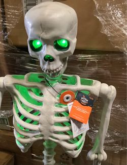 Sound Activated Life-Size Posable Skeleton priced