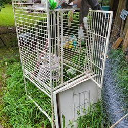 Metal Bird Cage