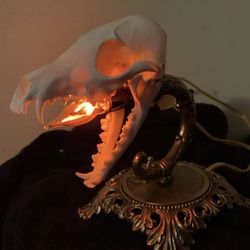 Fox Skull Lamp 