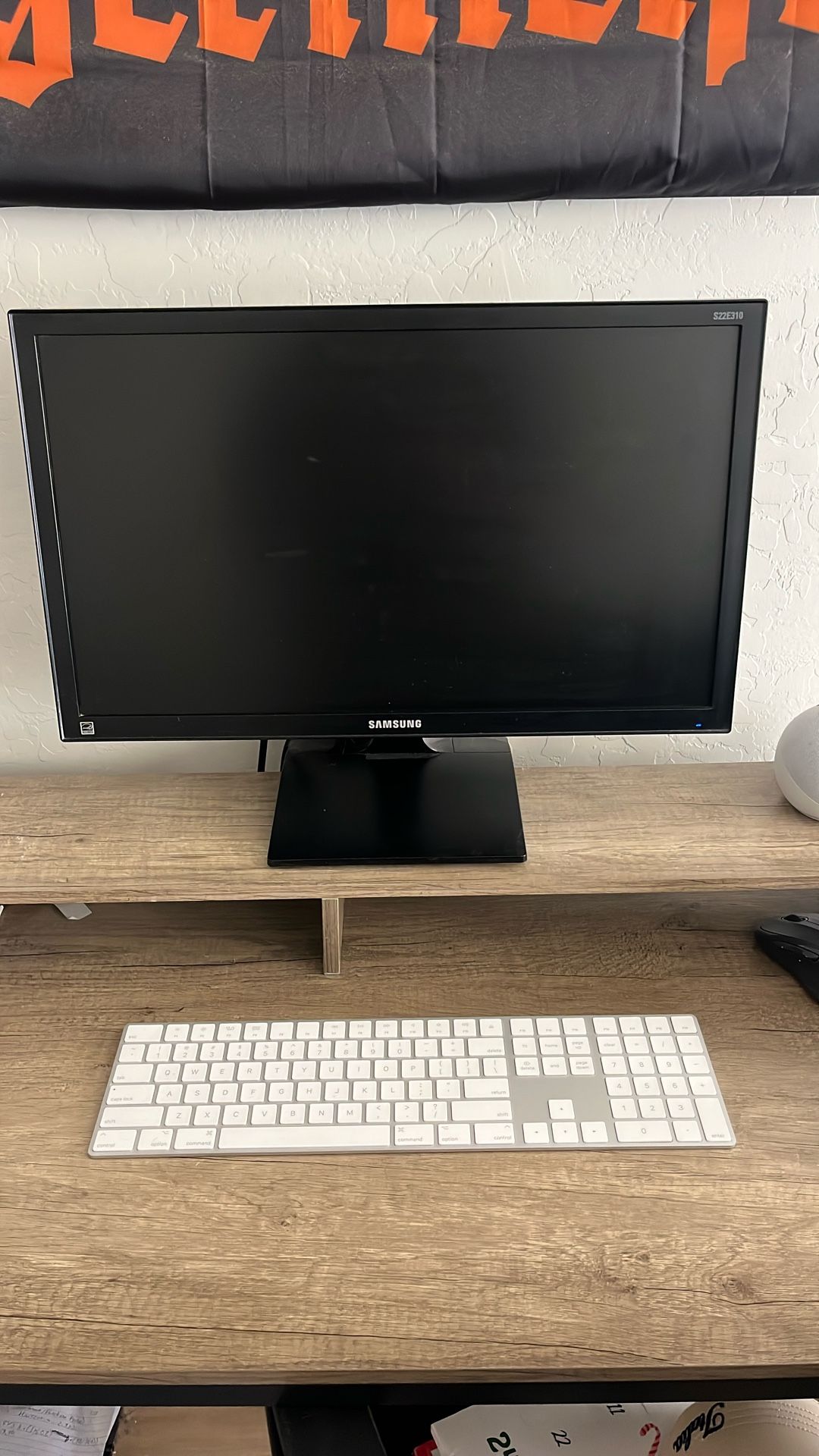 22” Samsung S22E310