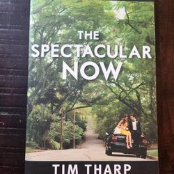 spectacular now book 