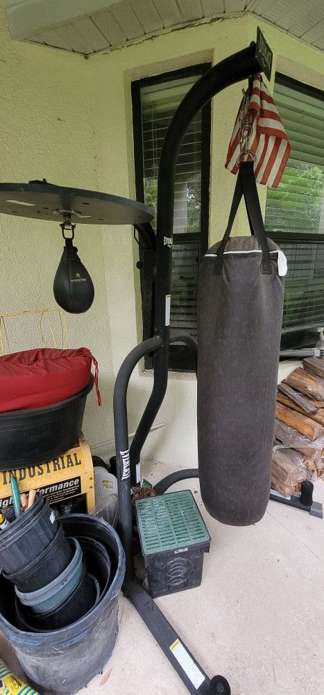 Everlast Punching Bag And Speed Bag