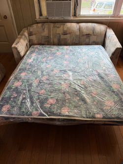 Pull out sofa bed and love seat