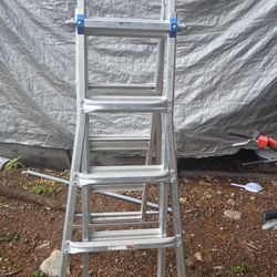 Werner 22' MT-22  Ladder