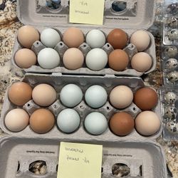 Freshly Packed $7 Chicken Dozen & 2nd Pic 15 For $4 Quail -Last Picture $5 For 15 Eggs