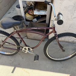 Schwinn 24