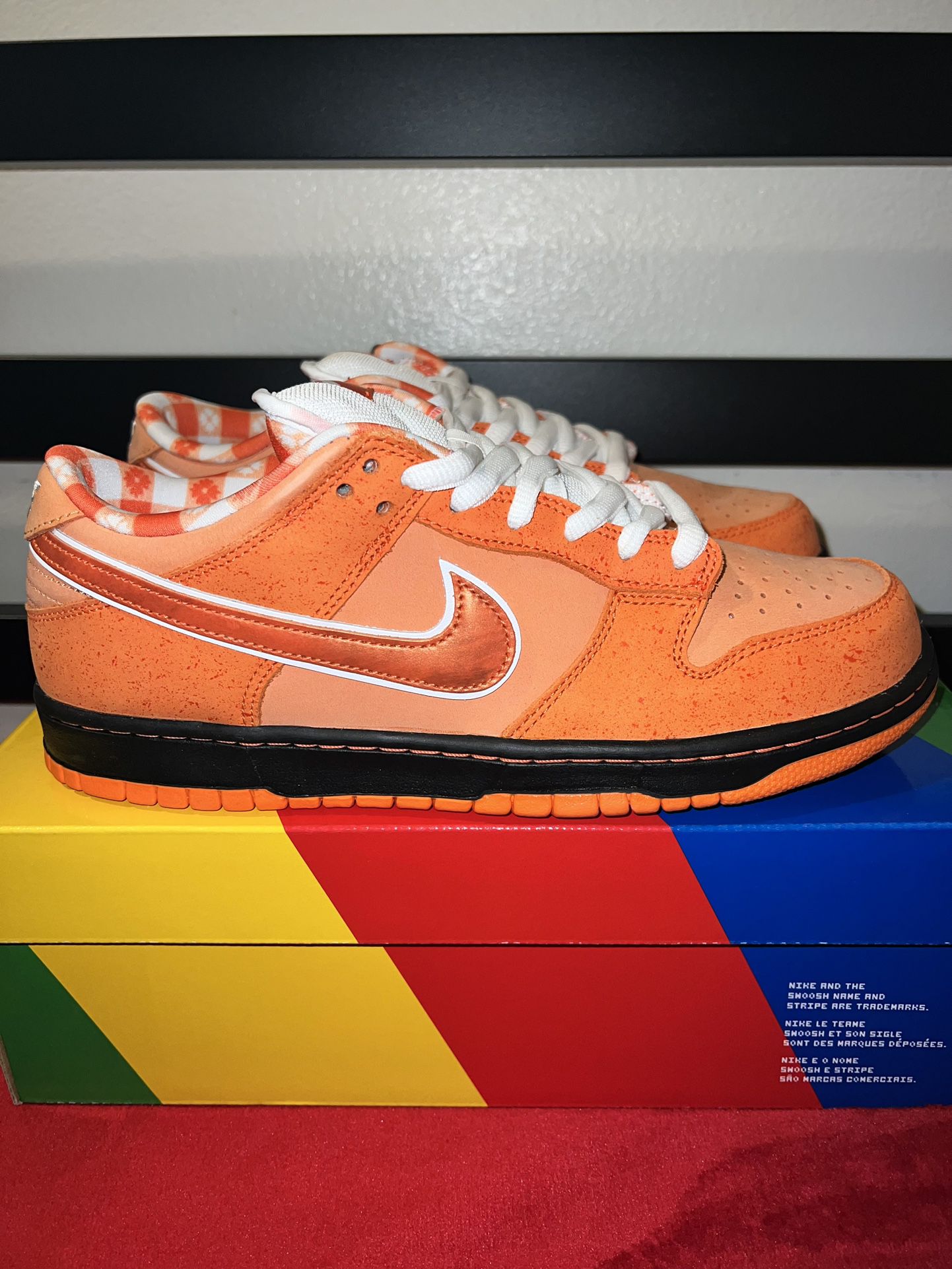 Nike SB Dunk Low Orange Lobster Concepts Special Box for Sale in