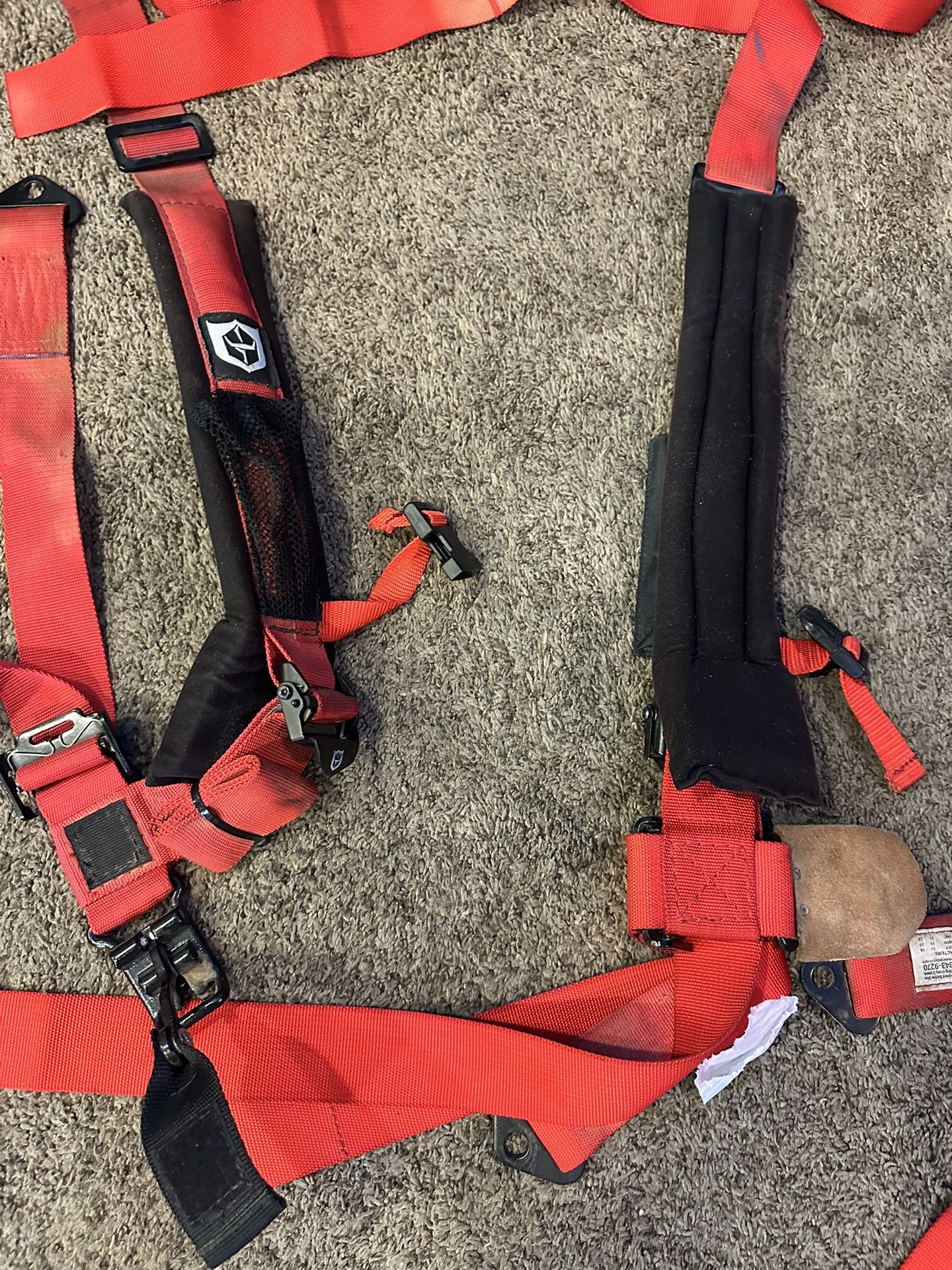 5 Point Harnesses