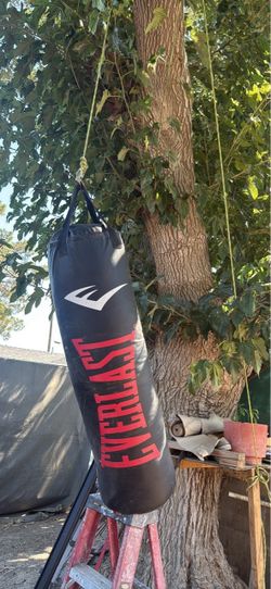 Everlast Heavy Punching Bag