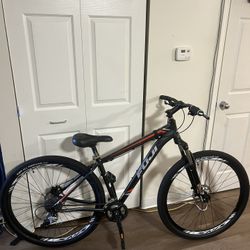 Fuji 29er