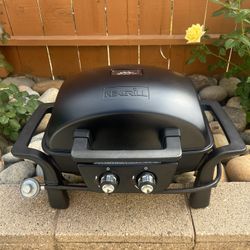 Portable propane grill